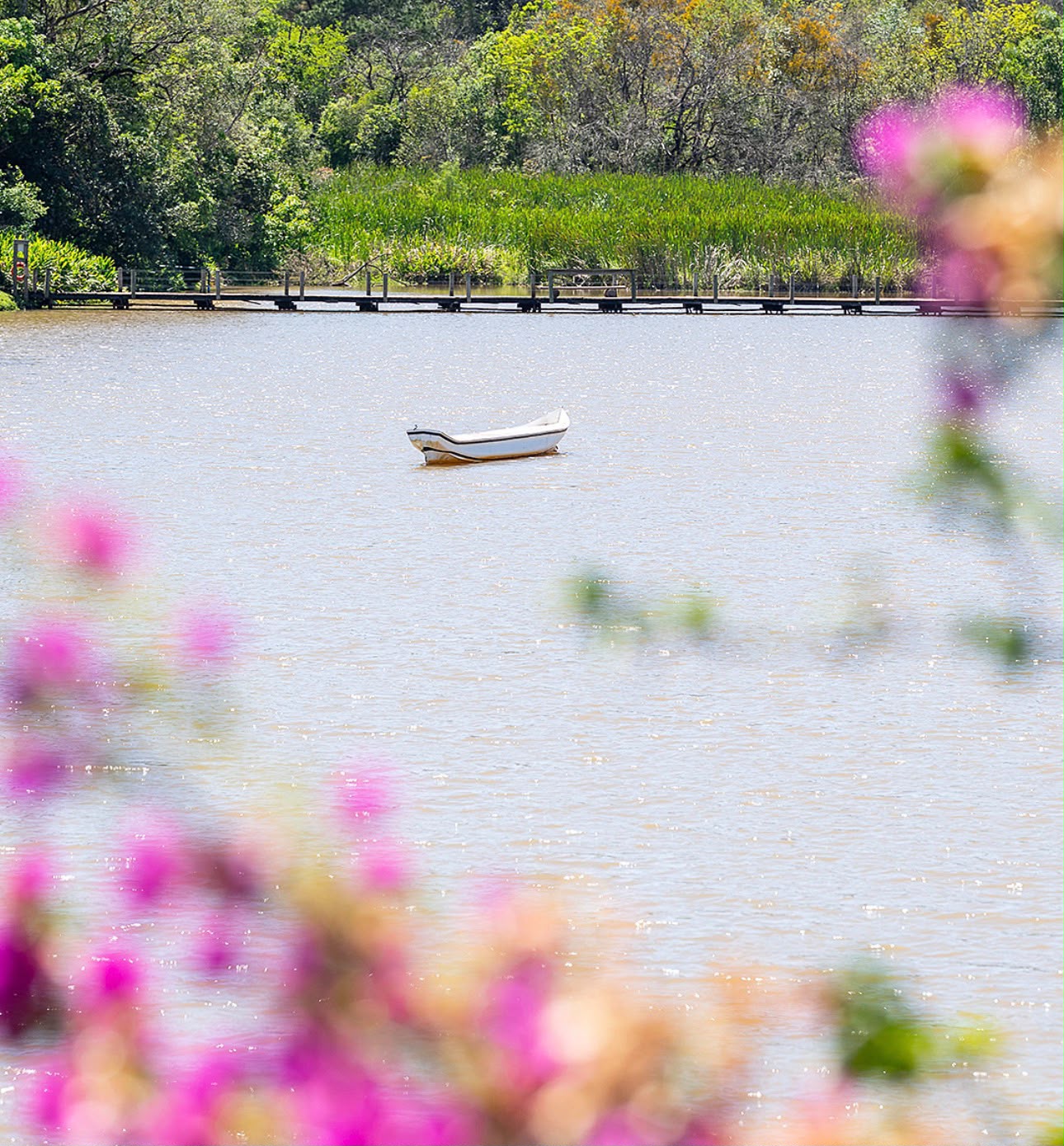 Lago do Ninho Verde 2