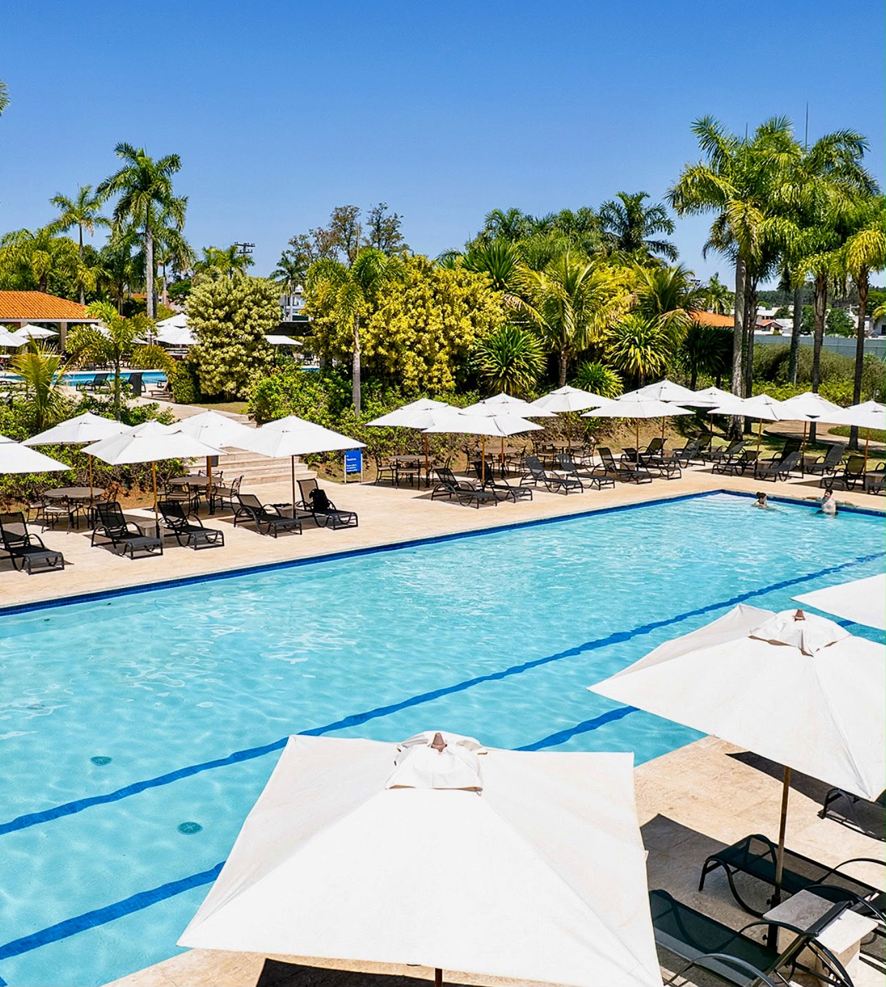 Clube Sabiás