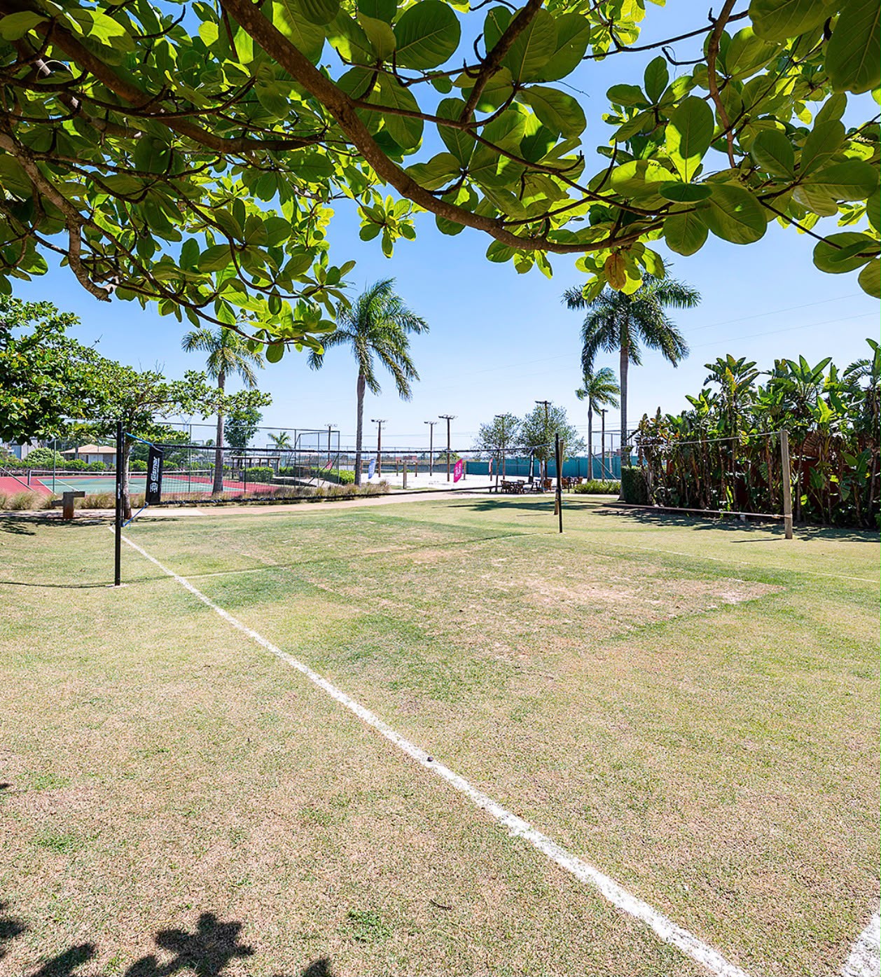 Clube Sabiás