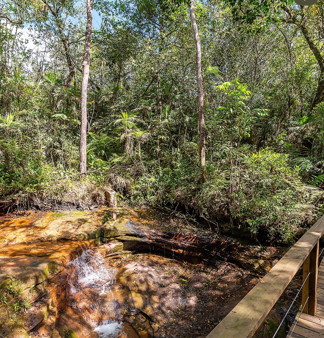 Trilha Ecológica