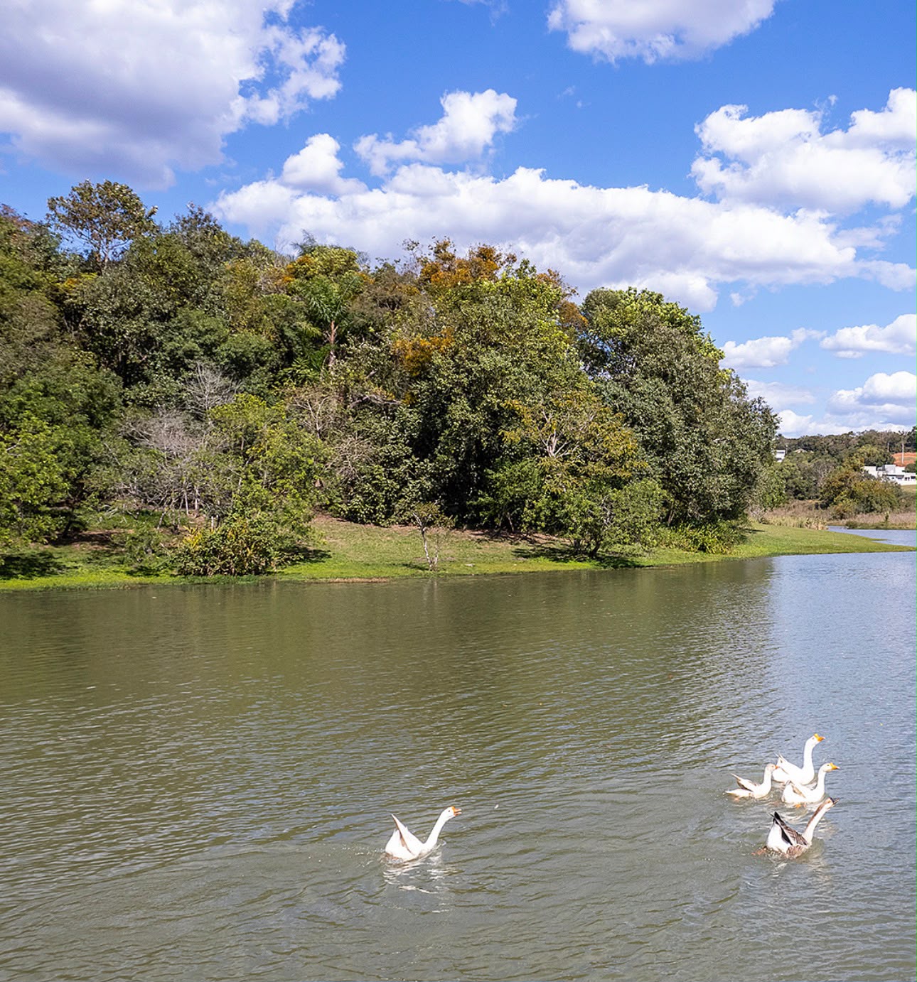 Lago do Ninho Verde 2